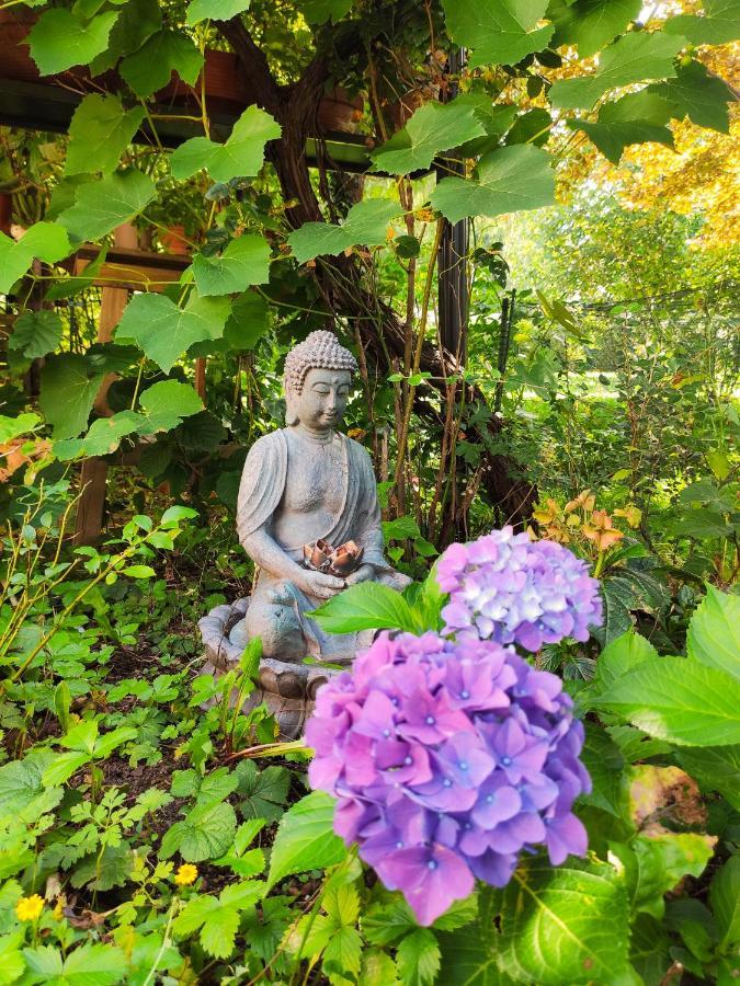 Modernes Zimmer Am Park Mit Garten, Huehner & Enten Munich Extérieur photo